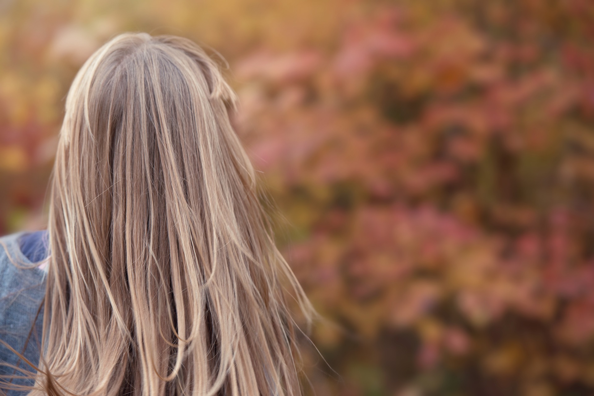 From behind, a woman has long, blonde healthy hair that appears to have moved in the breeze. The background is out of focus and appears to show trees in autumn.